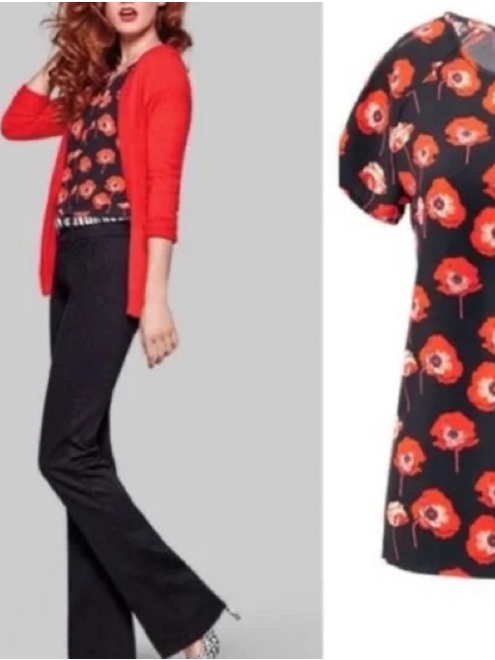 CAbi Women Short-Sleeve Blouse Navy with Orange Poppy Print Size M